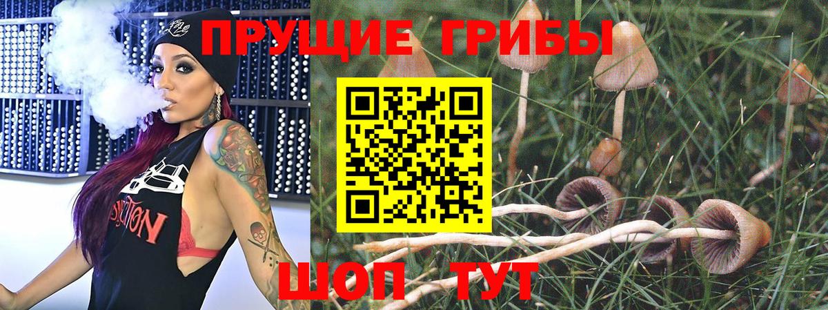 Галлюциногенные грибы Psilocybine cubensis  Вход с VPN  Галлюциногенные грибы Cubensis  Чусовой 