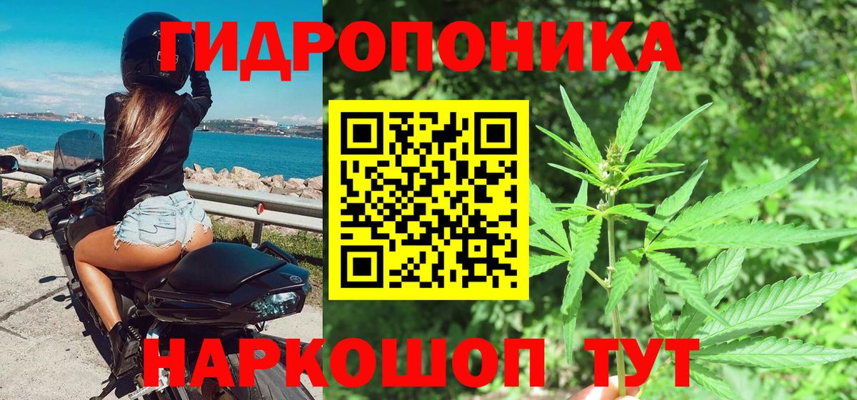 Бошки Шишки сатива  Марихуана тримм  Чусовой  Вход с VPN 
